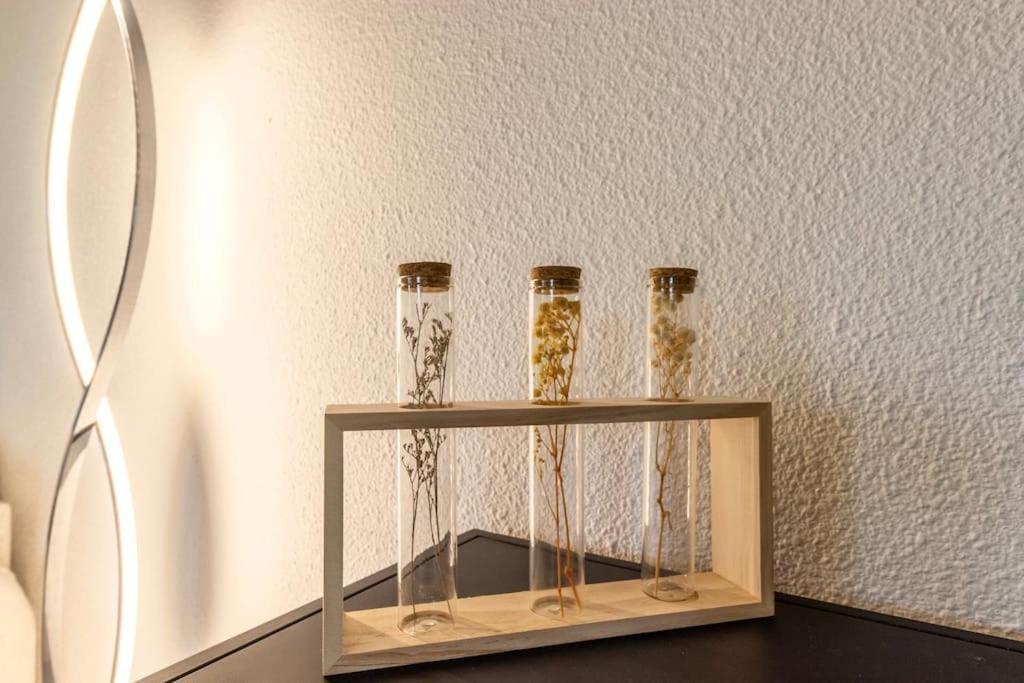 Apartment Aerosky Proche Aeroport Blagnac
